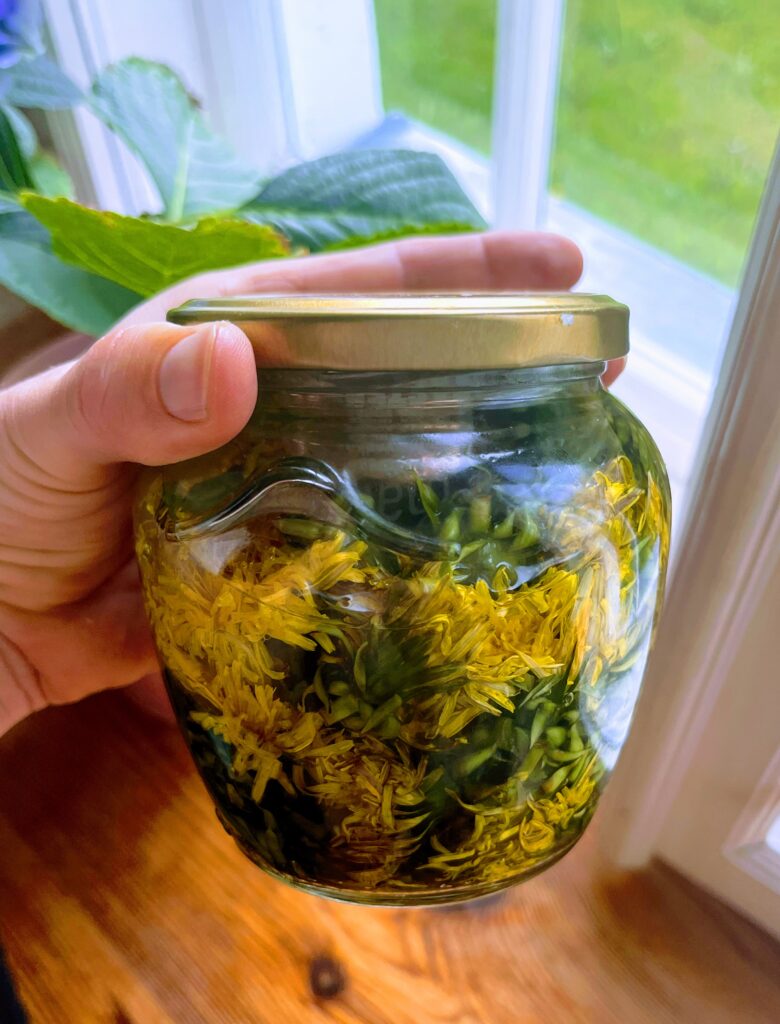 Täna kingiti mulle võimalus minna maale ja loomulikult võtsin kilekotid kaasa 🌼. Nii palju vägevust on igal pool ja patt on need korjamata jätta. Pojaga korjasi