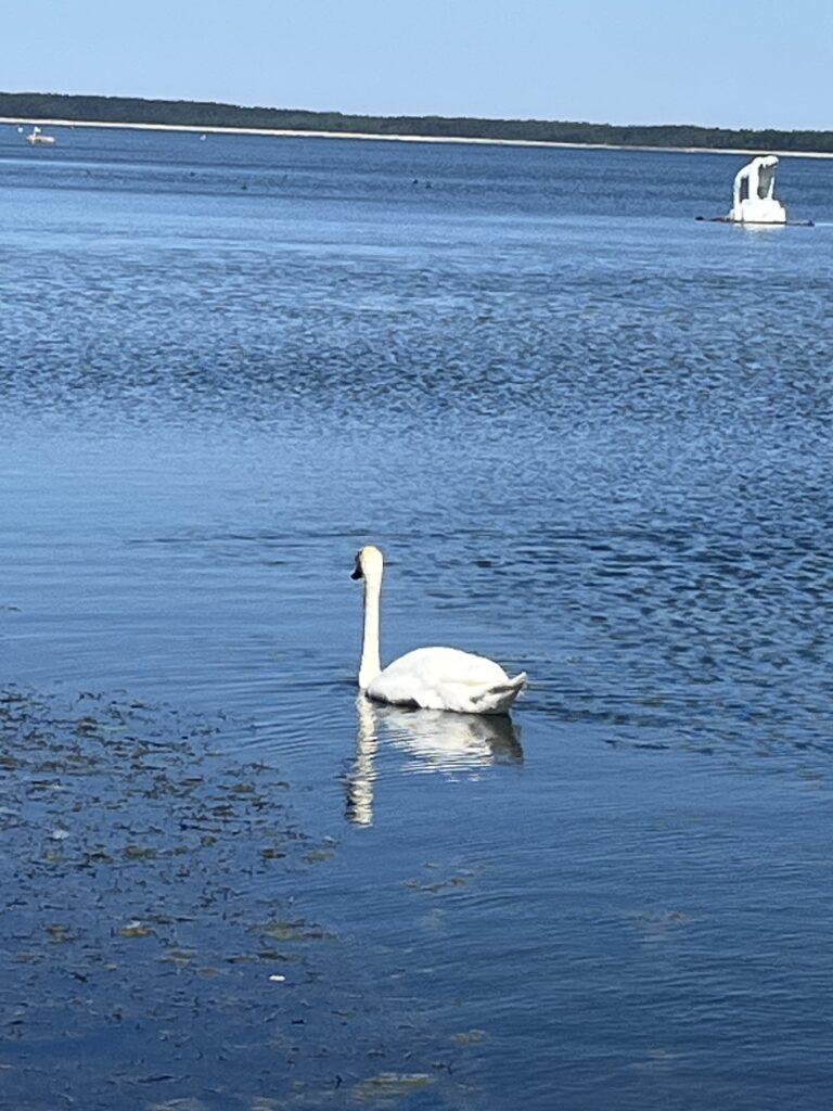 img 2556